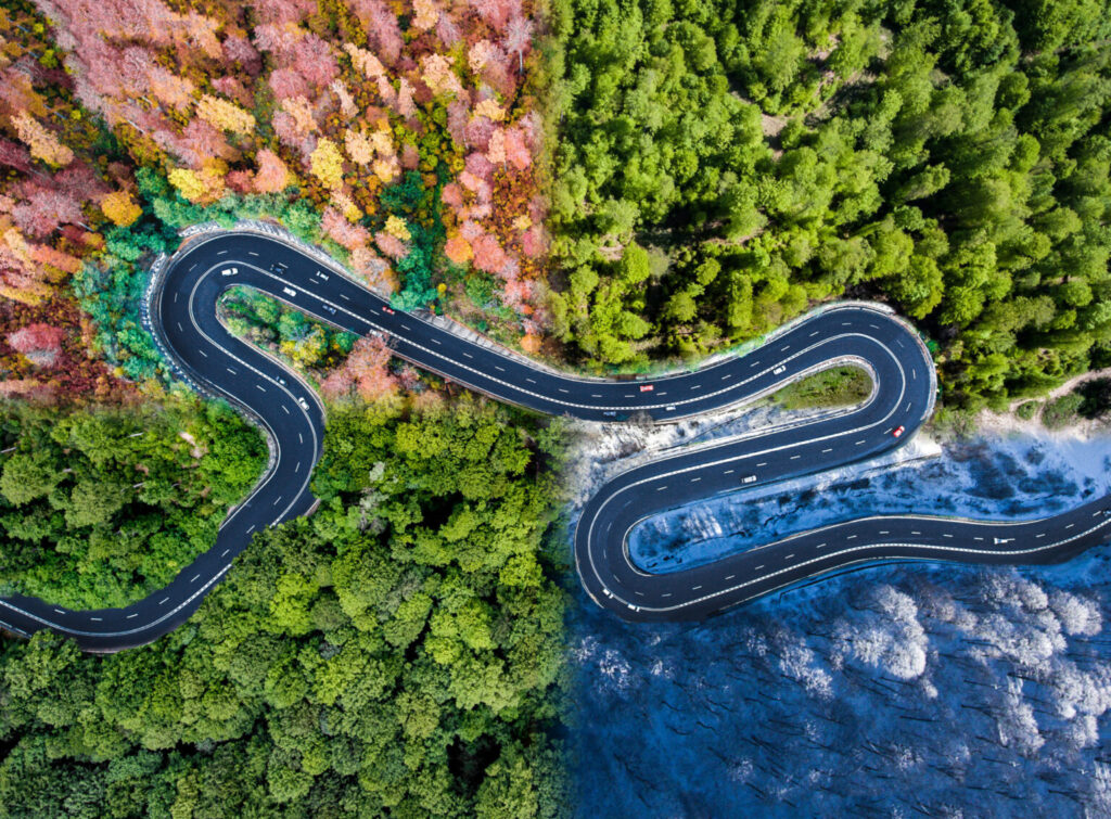 Ardennen natuur